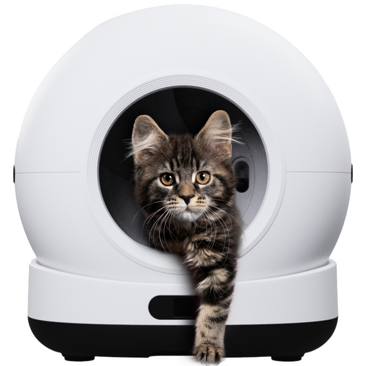 K1200 PRO Selbstreinigende Katzentoilette + PRO Service + GRATIS WF600 im Wert von 79,- €